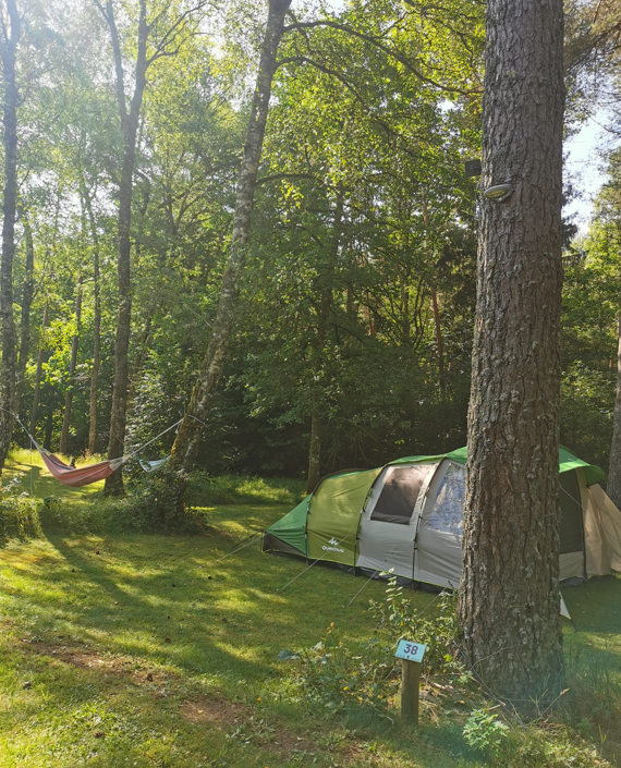 Emplacements sous les sapins