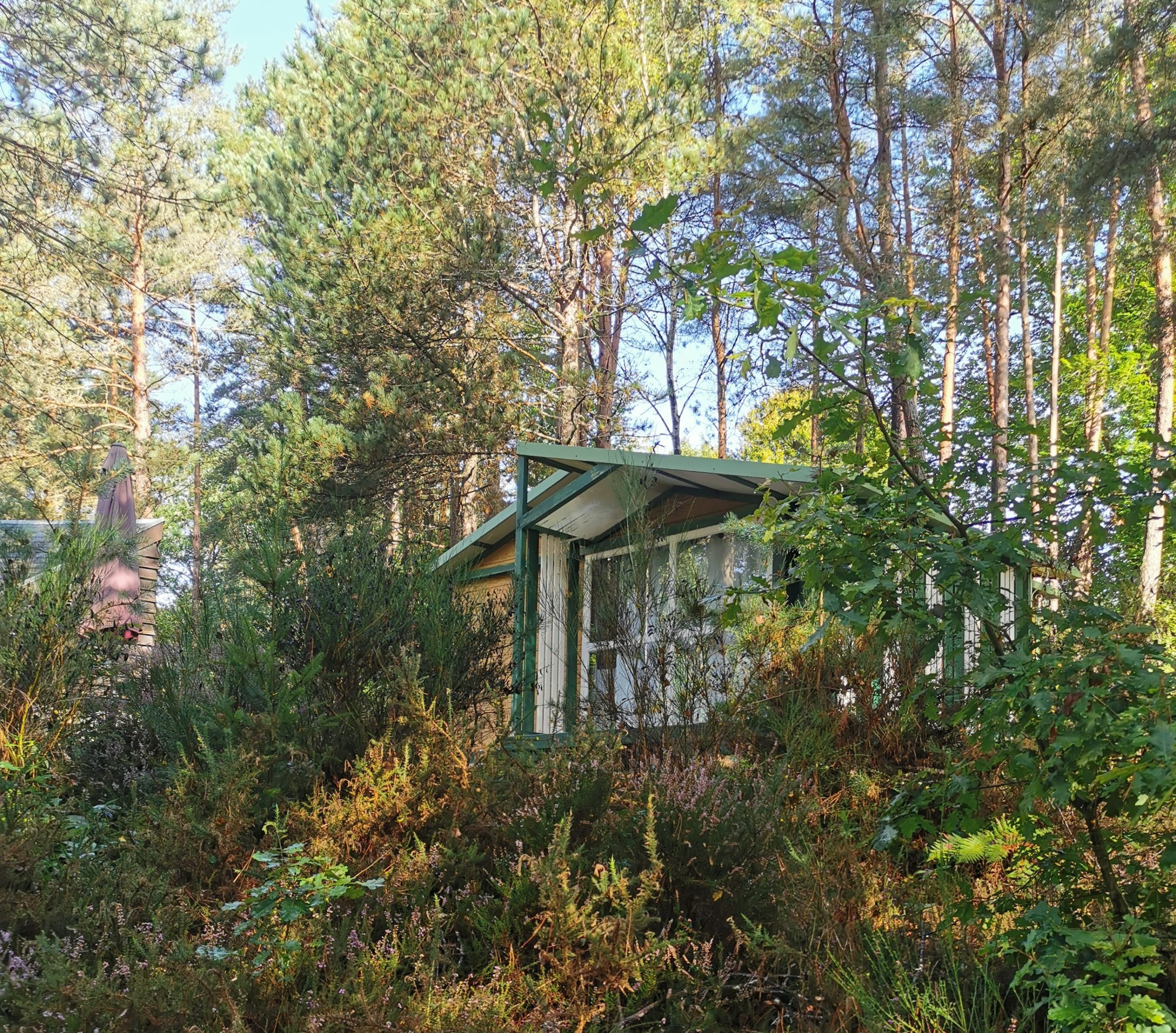 Chalet-dans-un-ecrin-de-verdure